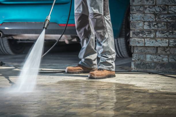 Best Roof Washing  in Downs, IL