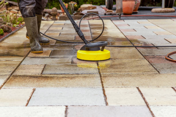 Trusted Downs, IL Pressure Washing Services Experts